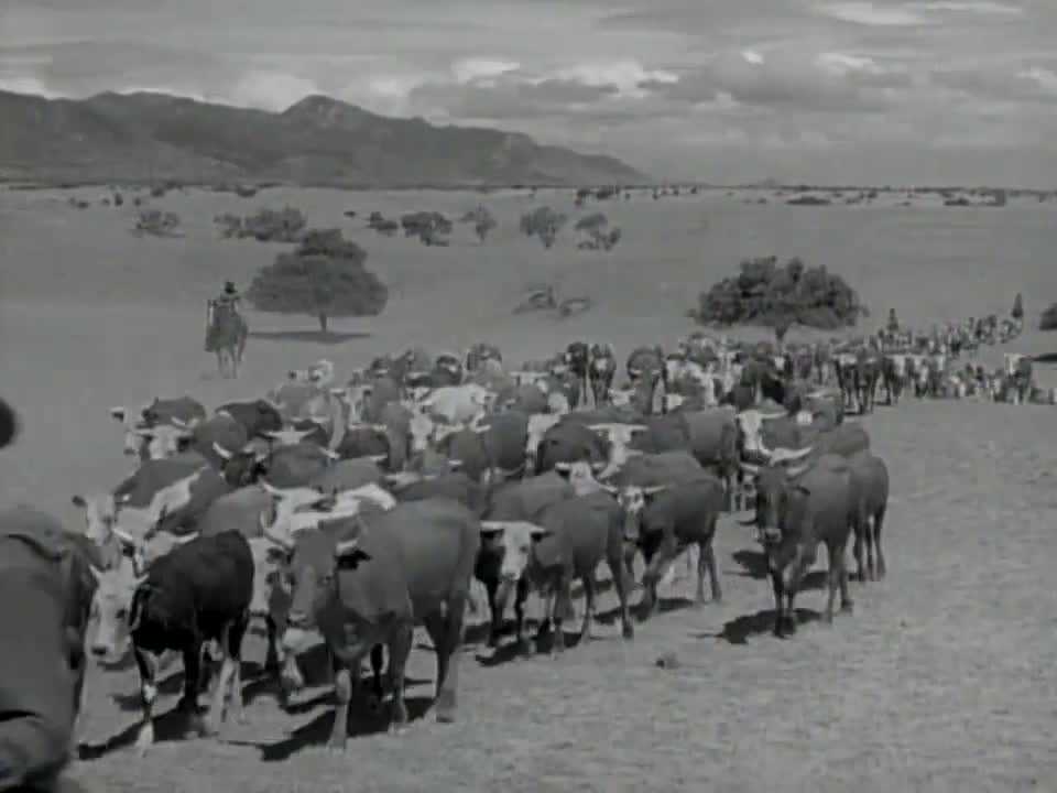 S01E21 Incident In No Man's Land