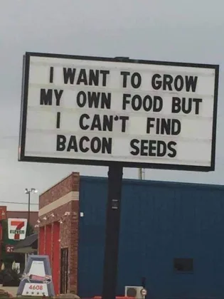 baconseeds.jpg